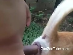 Zoo Xxnx - XNXX, ZOO Porn ,Free Bistiality Videos, Animal Tube